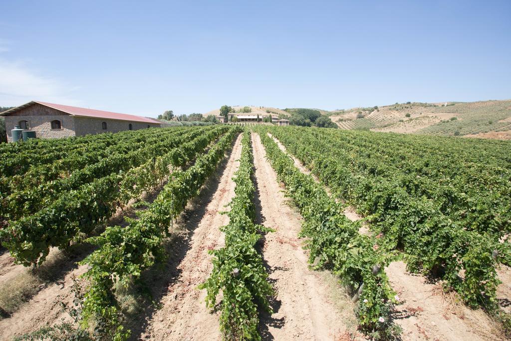 Agriturismo Gigliotto San Cono Zewnętrze zdjęcie
